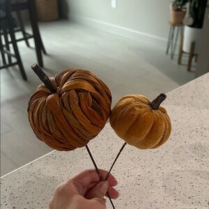 Orange pumpkin plant decor